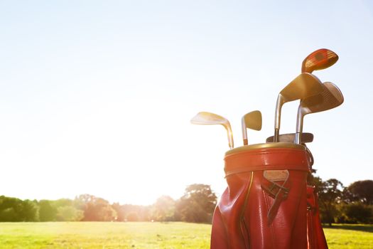 Golf equipment. Professional clubs in a leather baggage on golf course at sunny day.