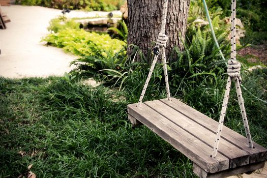 Swing hanging on a tree in the garden.