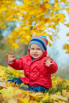 Cute baby boy sitting on the yellow leaves in the autumn park