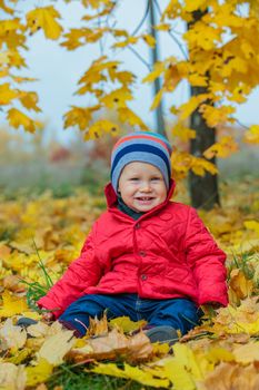 Cute baby boy sitting on the yellow leaves in the autumn park