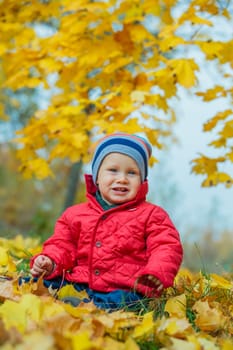 Cute baby boy sitting on the yellow leaves in the autumn park