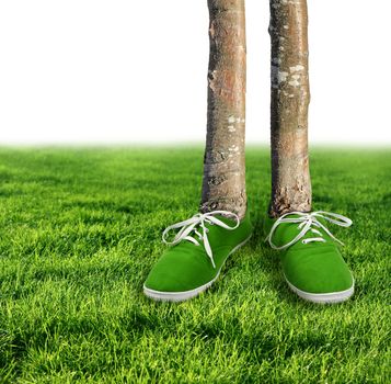 Green carbon footprint environmental concept, shoes growing trees