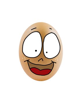 one  brown egg with face on white background .