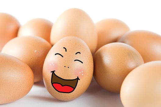 happy  brown egg with many friend ( chicken eggs )