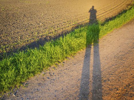 Picture of the shadow of the photographer at sunset