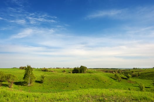 Hilly meadow, bright green spring grass, rare small trees and clouds in the blue sky in a sunny clear weather