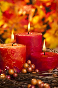 Candles in nice and beautiful colorful autumn leaves