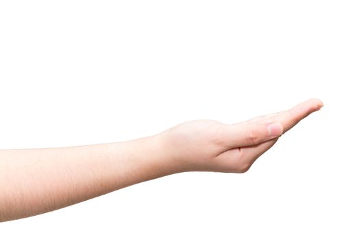 Human hand with open palm ready to recieve on light gray background