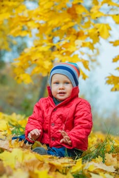 Cute baby boy sitting on the yellow leaves in the autumn park