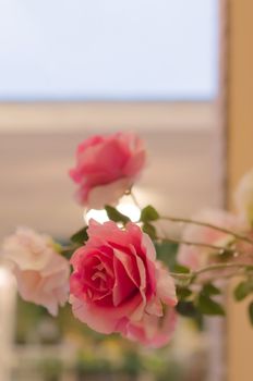 close up pink rose , Bouquet of plastic flower 