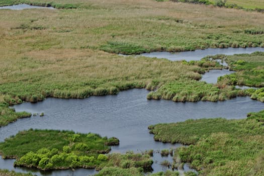 more small lakes in the reeds