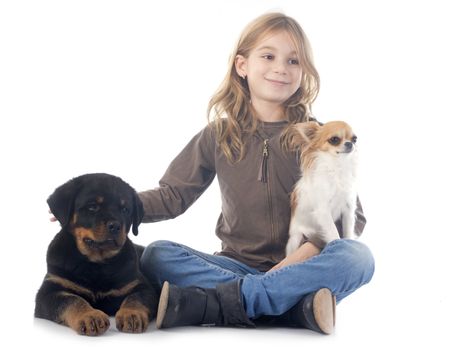 child and dogs in front of white background
