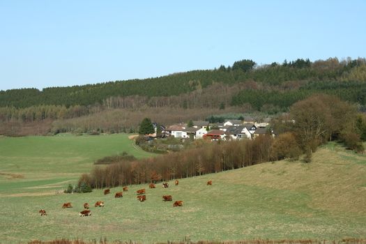 View  on Schmissberg a small  village in Rheinland Pfalz,Germany