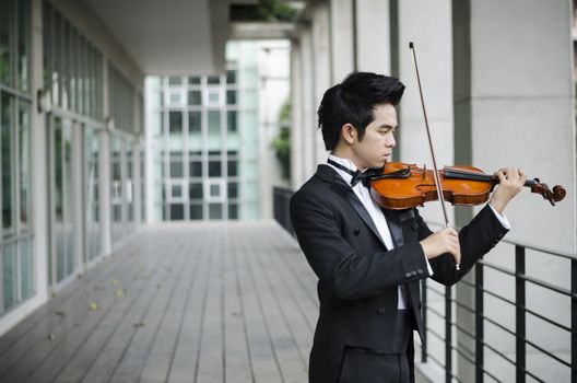 Thailand asia man with his violin he is a soloist