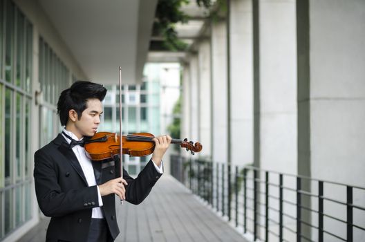 Thailand asia man with his violin he is a soloist