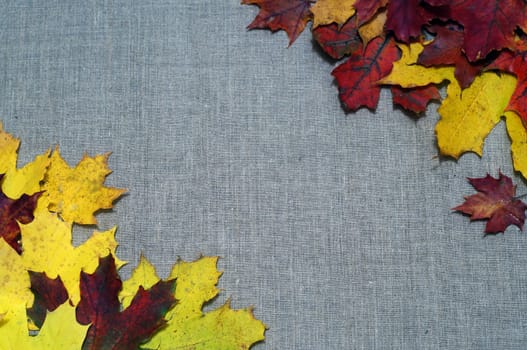 Background of autumn leaves on fabric