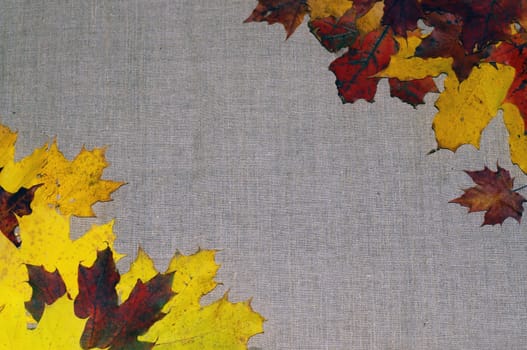 Background of autumn leaves on fabric