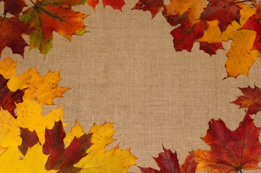 Background of autumn leaves on fabric