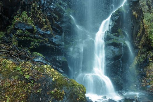 scenic waterfall jets in mountain forest in Japan