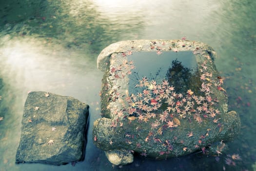 red maple tree leafs lay over water in stone draw- well in Japanese zen pond