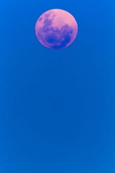 Full red pink moon rises against the blue sky at twilight.