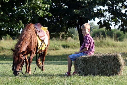 pony horse pet and happy boy