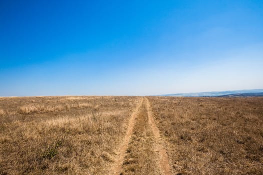 Dirt road tracks over dry grass vegetation landscape towards a blue horizon.