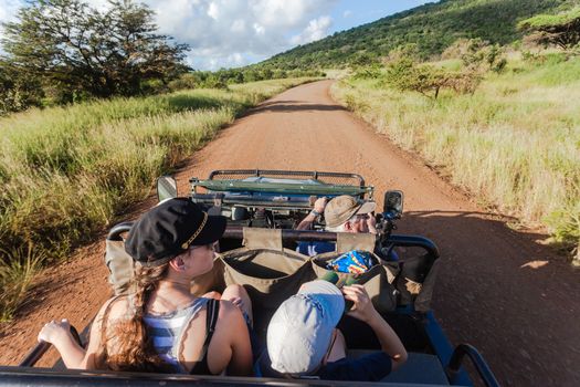 Driving open 4x4 vehicle with tourists in spotting animals in wildlife game reserve.