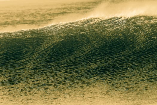 Ocean wave wall with offshore winds showing textures in detail in cross process in sepia tones.