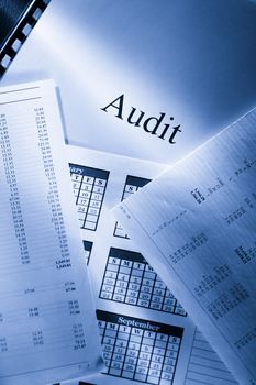 Operating budget, calendar and audit