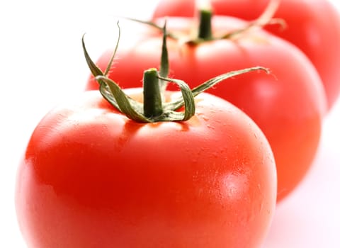 Tomatoes on the white background