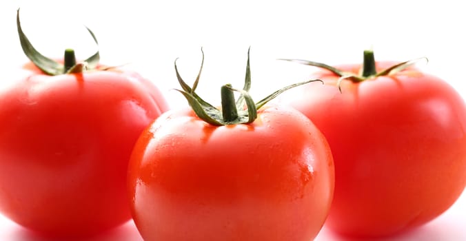 Tomatoes on the white background 