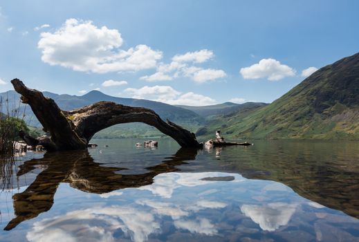 Mirror like reflection of the Lake District hills surrounding Crummock Water framed by the a dead tree trunk lying in the water framing the distant mountains. Idyllic image from the English Lakes