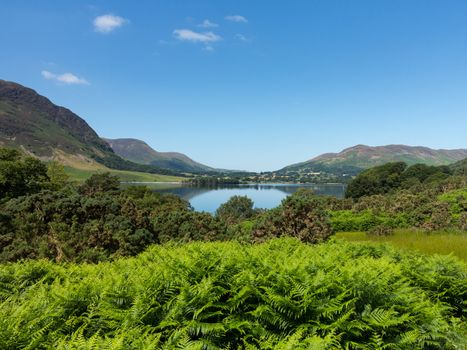 Mirror like reflection of the Lake District hills surrounding Crummock Water framed by the trees on the lakeside. Idyllic image from the English Lakes