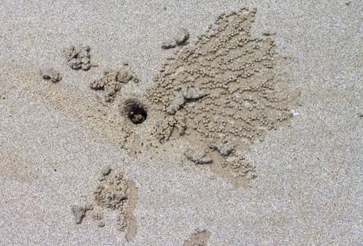 The inscription on the sand