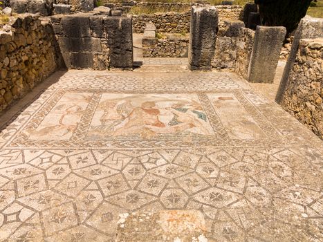 Volubilis is a partly excavated Roman city in Morocco situated near Meknes between Fes and Rabat. Built in a fertile agricultural area, it was developed from the 3rd century BC onwards as a Phoenician Carthaginian settlement