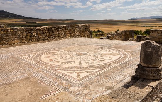Volubilis is a partly excavated Roman city in Morocco situated near Meknes between Fes and Rabat. Built in a fertile agricultural area, it was developed from the 3rd century BC onwards as a Phoenician Carthaginian settlement