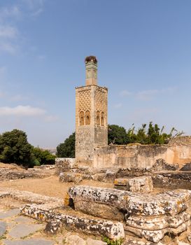 Ancient roman ruins in Chellah near Rabat in Morocco are well populated by storks and their nests