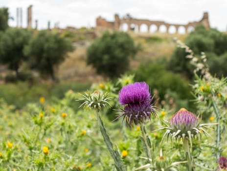 Volubilis is a partly excavated Roman city in Morocco situated near Meknes between Fes and Rabat. Built in a fertile agricultural area, it was developed from the 3rd century BC onwards as a Phoenician Carthaginian settlement