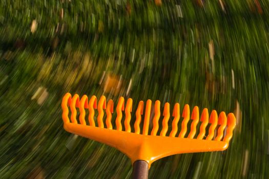 Motion blur created when orange lawn rake is moved through the leaves on green lawn with a focus on the tool as the grass and falled autumn leaves blur with movement to suggest work