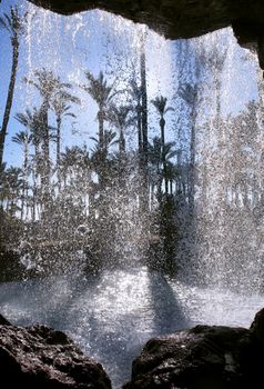 behind the cascade, palm garden park in Alicante, Spain.