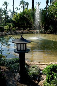 Palm garden park in Alicante, Spain.