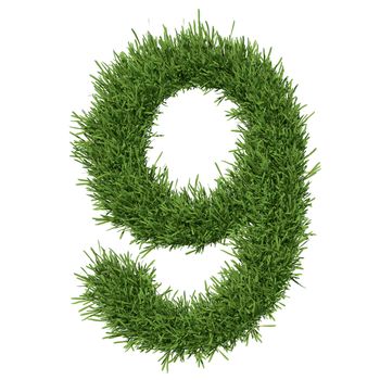 Arabic numeral made of grass. Isolated render on a white background