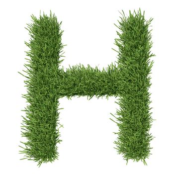 Letter of the alphabet made from grass. Isolated render on a white background