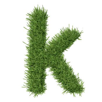 Letter of the alphabet made from grass. Isolated render on a white background