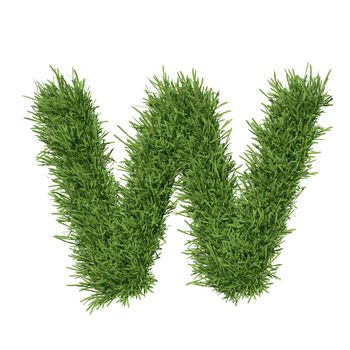 Letter of the alphabet made from grass. Isolated render on a white background