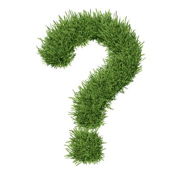 Question mark made of grass. Isolated render on a white background