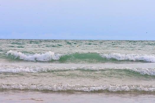 beach and tropical sea