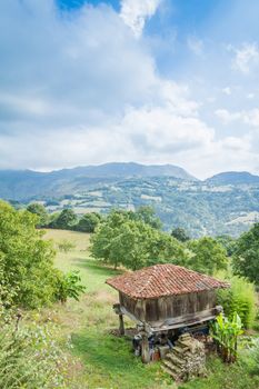 Typical granary of Asturias, in Spain, raised by stone pillars and known as "horreo"