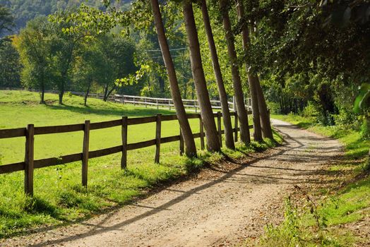 Fence and Trees by Curved Road in Countryside with Green Field 